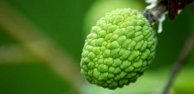 澳恪森数智科技服务